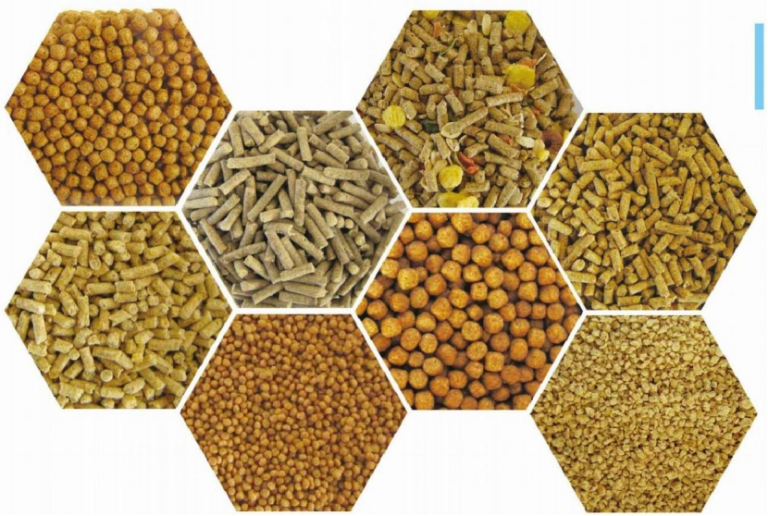Yongli feed pellet machine – Pig Feed Pellet Machine,Pig Feed Mill ...